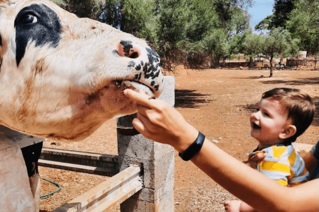 Workshop ‘Giant Mascot Ferdinando’