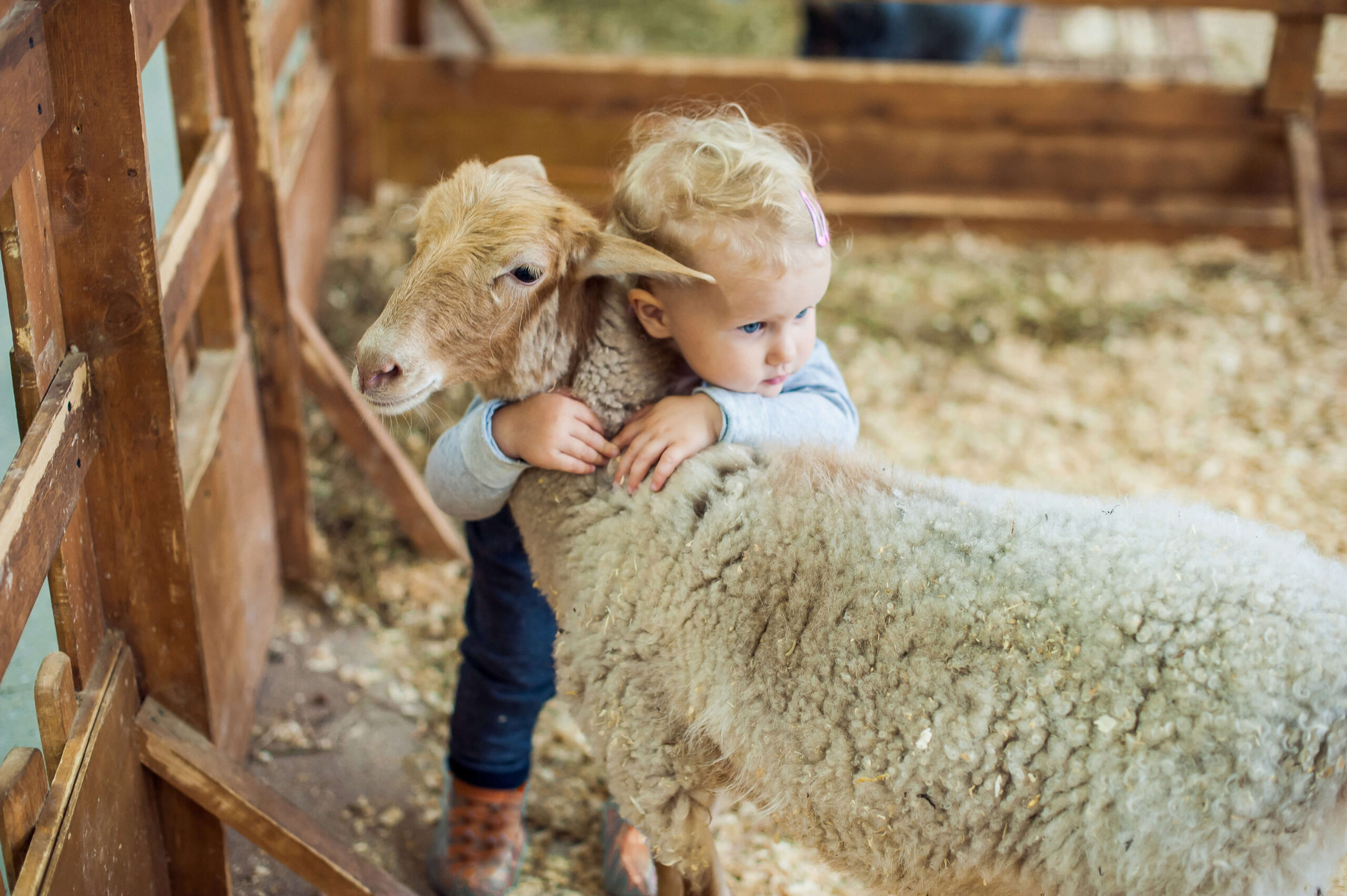 a day on the children’s farm