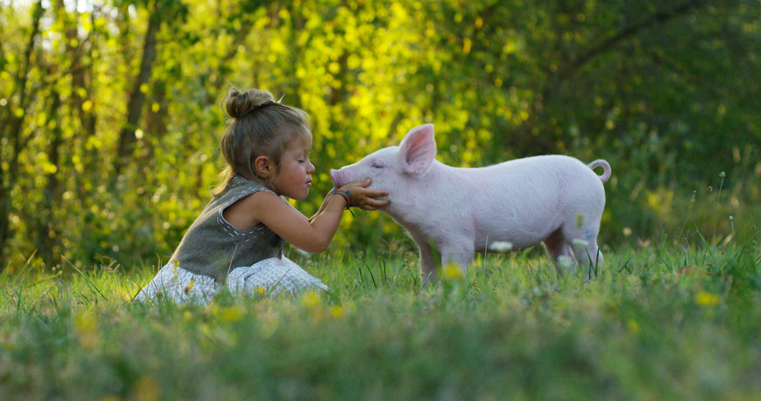 exciting farm tours & workshops in mallorca