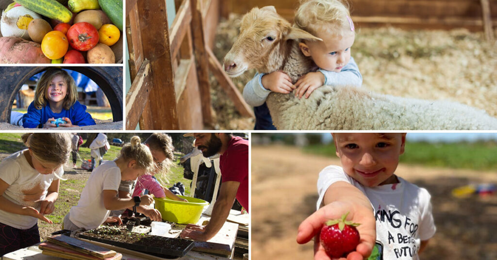 Feliz fin de semana - Fresas, 300 Animales Barbacoa y de tiempo bueno