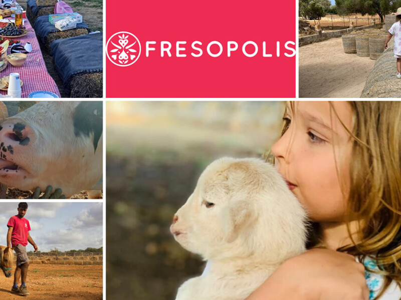 Fresopolis Farm - Strawberries, 300 Animals, BBQ and lucky time