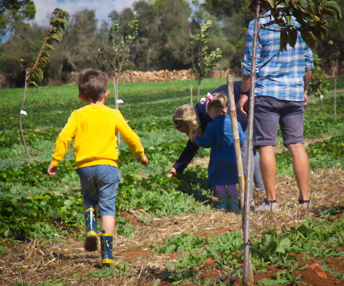 2 On a farm we learn something for life with every step we take