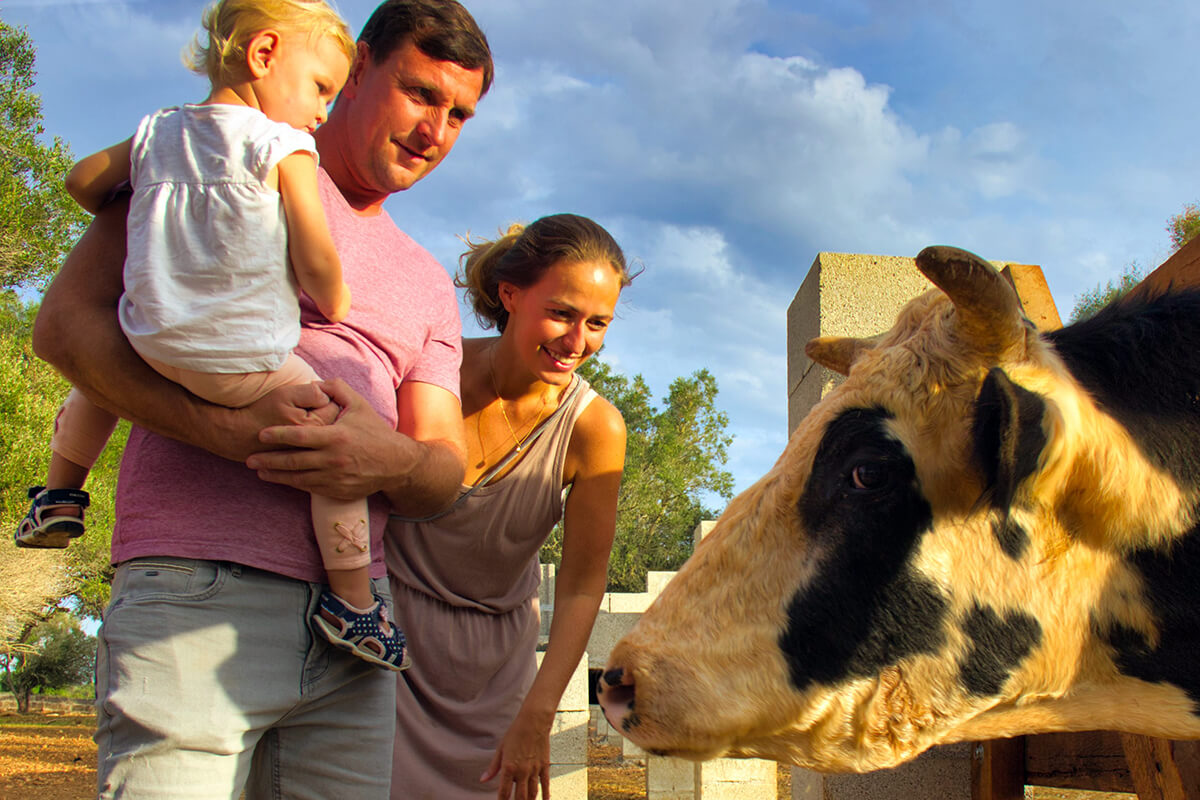 7 La visita a la granja promueve la concienciación sobre un estilo de vida saludable