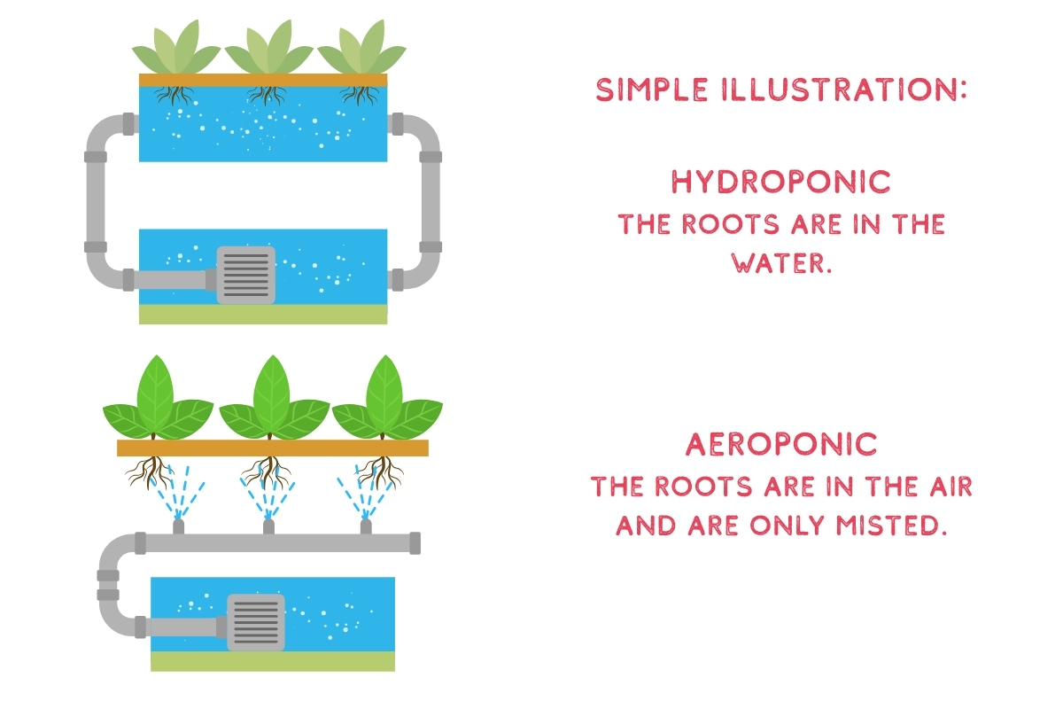 hydroponic