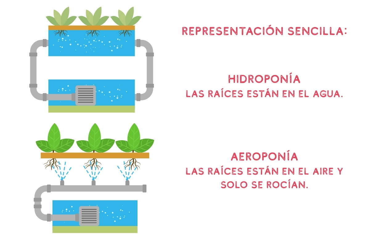 hydroponic