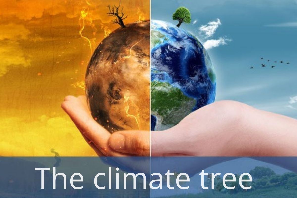 Der Klimabaum