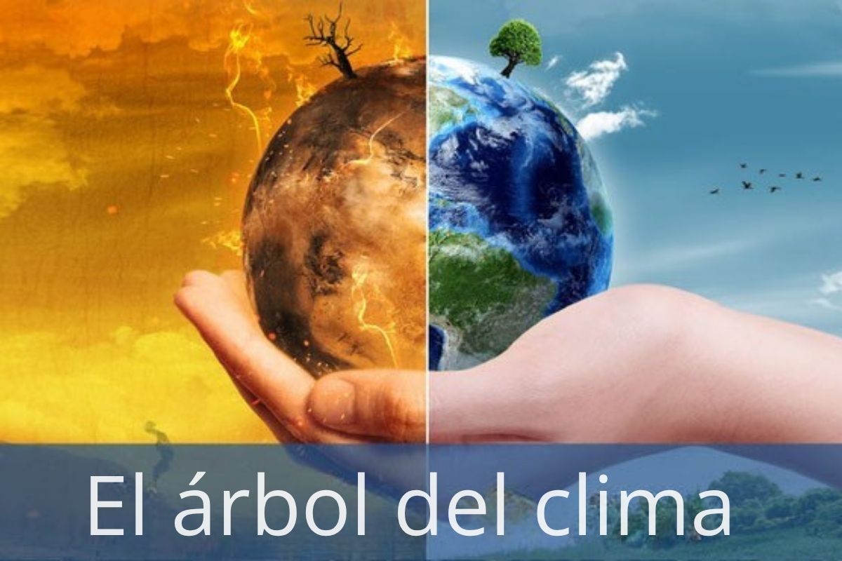 Der Klimabaum