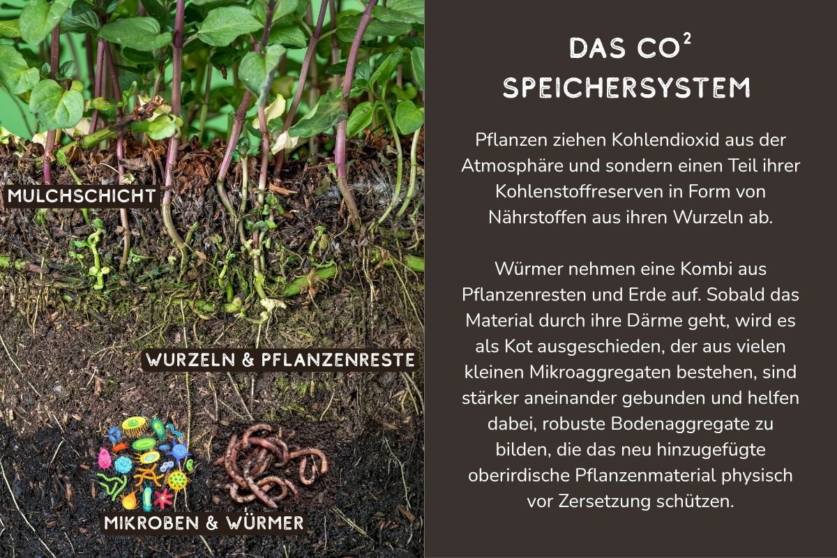 CO2 Speichersystem