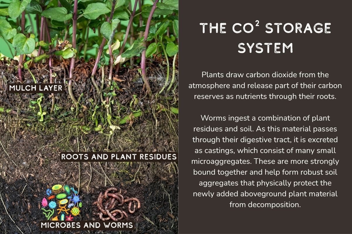 CO2 Speichersystem