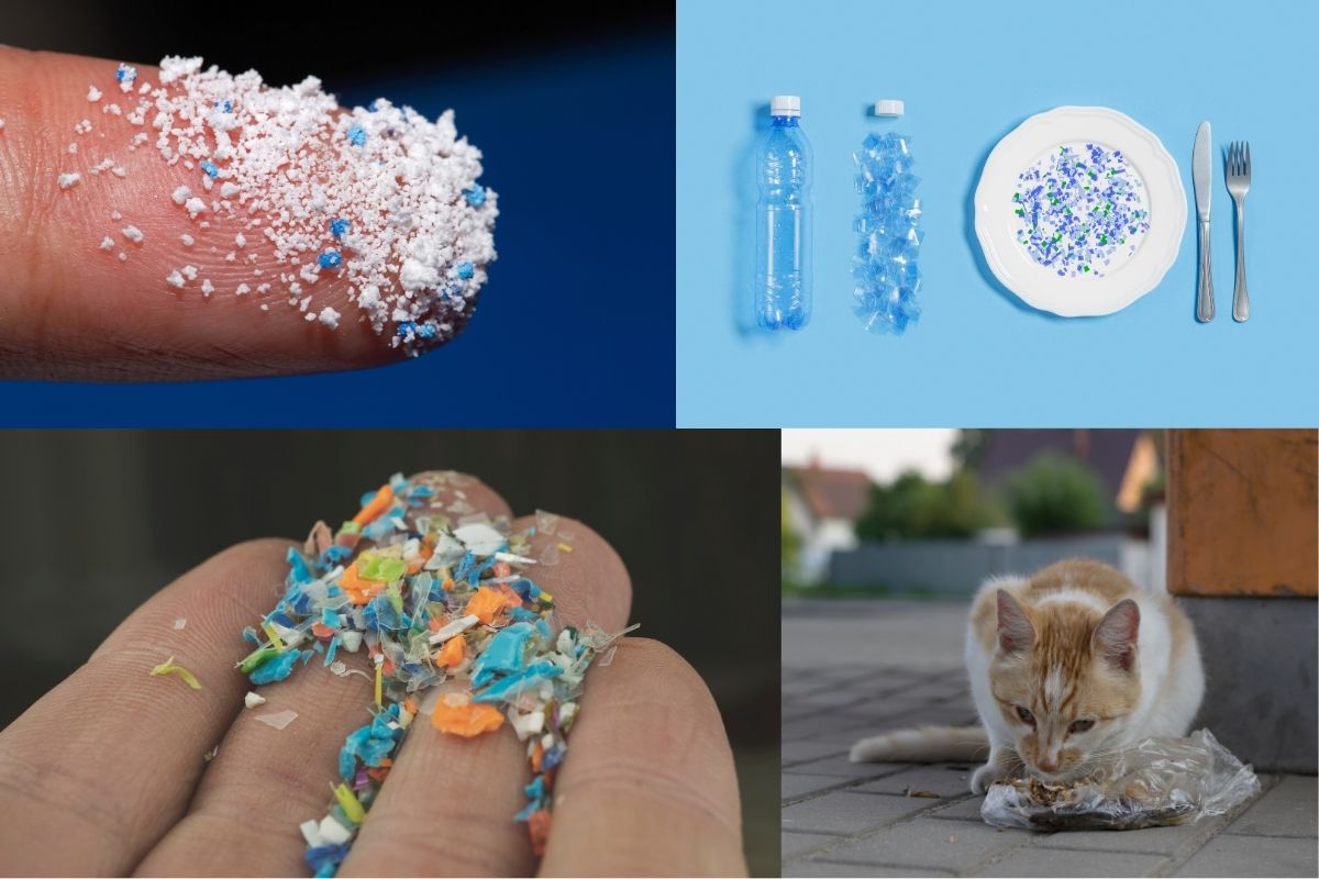 Mikroplastik