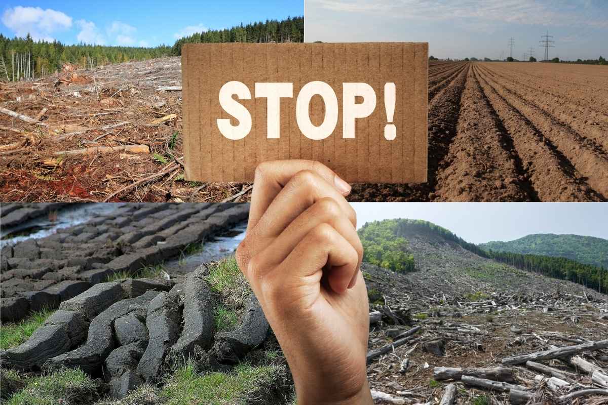 Stoppt Zerstörung
