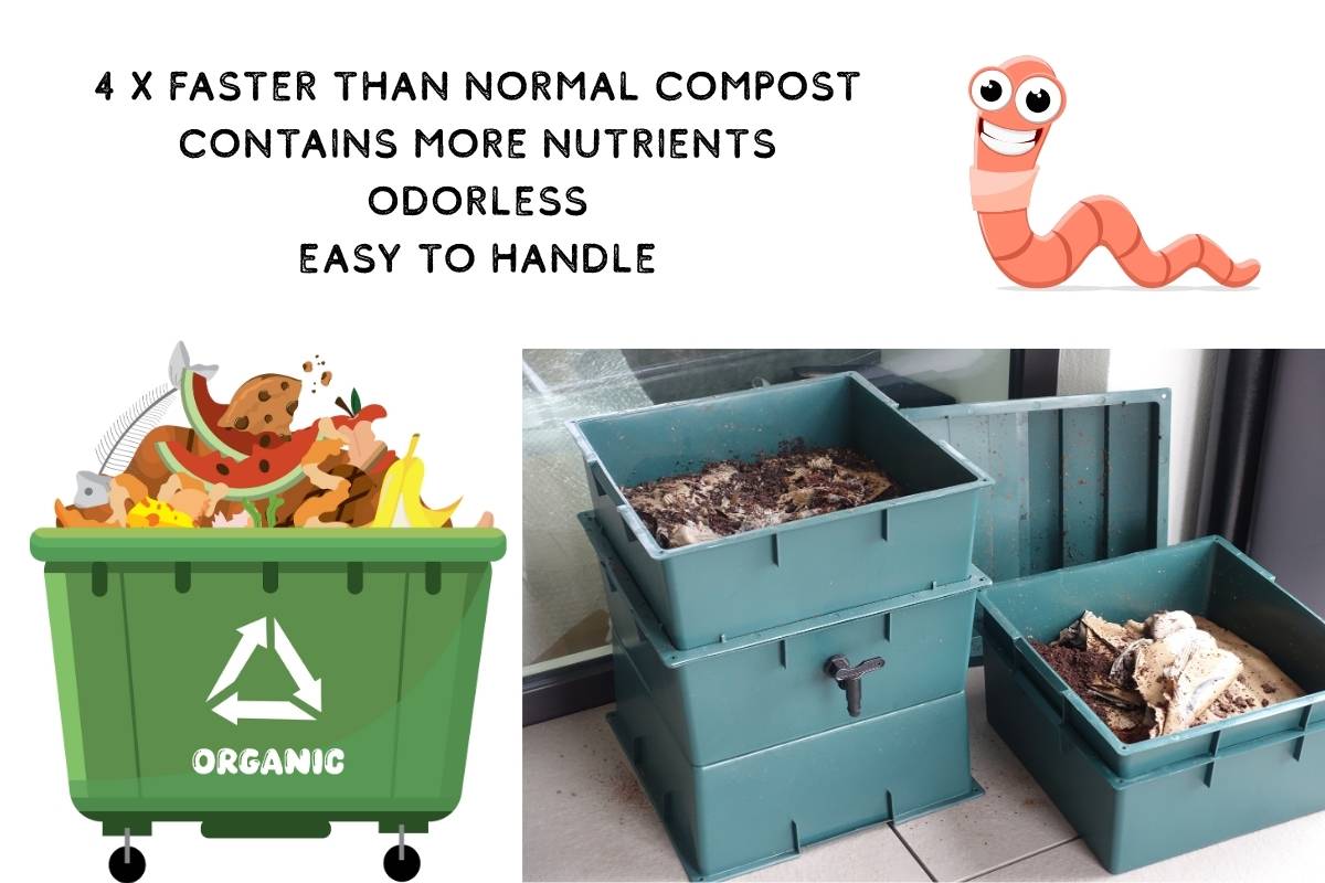 Wurmkompost