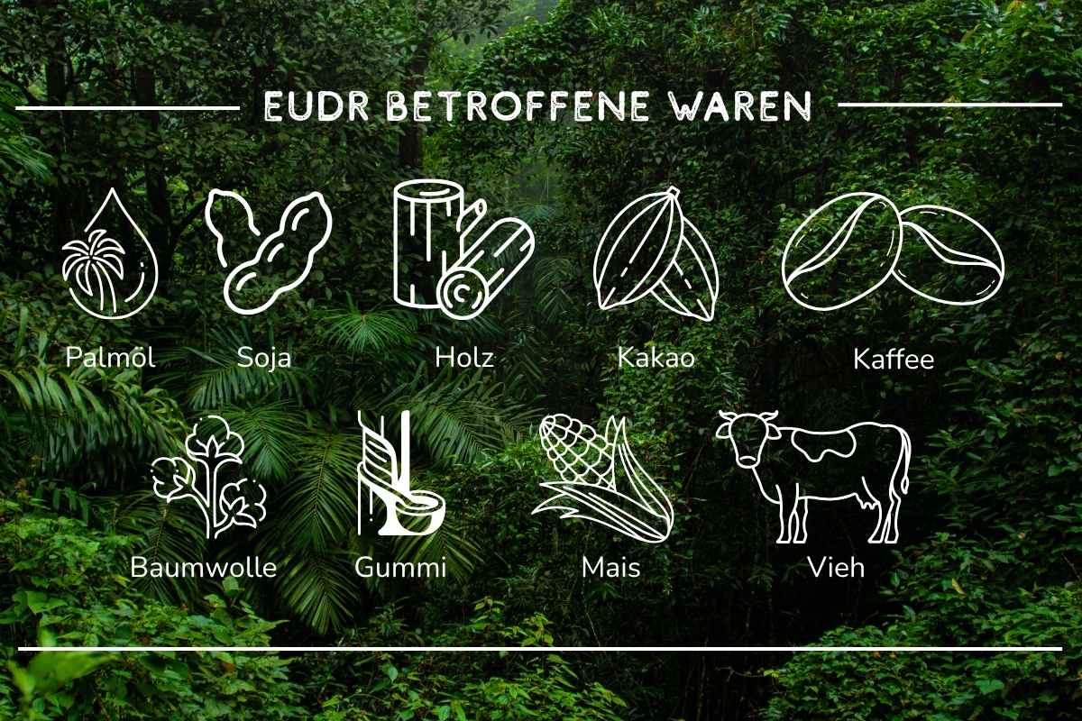 Entwaldungsfreie Lieferketten Entwaldungsfreie Lieferketten