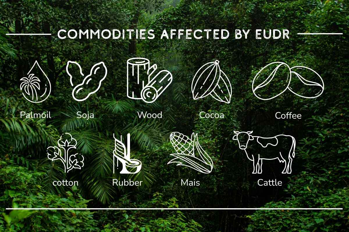 Entwaldungsfreie Lieferketten Entwaldungsfreie Lieferketten