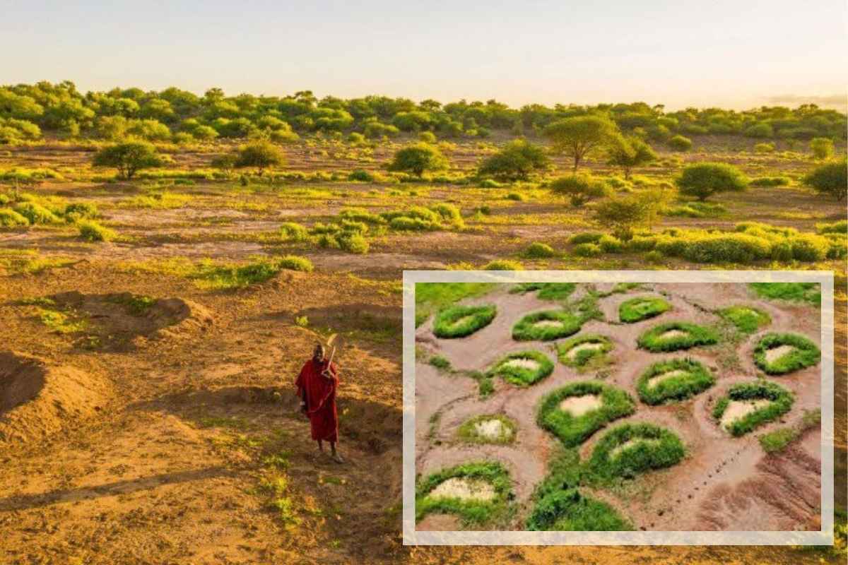 renaturierend renaturierend